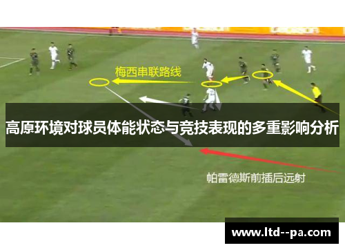 高原环境对球员体能状态与竞技表现的多重影响分析