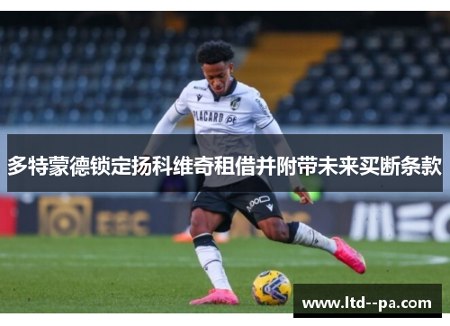 多特蒙德锁定扬科维奇租借并附带未来买断条款