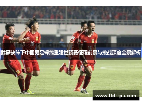 武磊缺阵下中国男足锋线重建世预赛征程前景与挑战深度全景解析