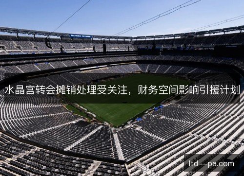 水晶宫转会摊销处理受关注，财务空间影响引援计划